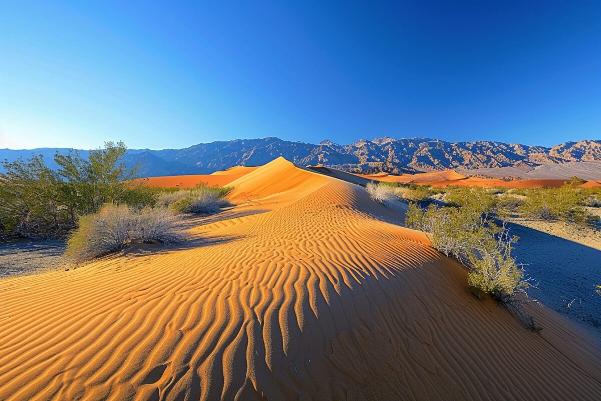 7 déserts aux portes de la France pour s’évader et se ressourcer dans les dunes