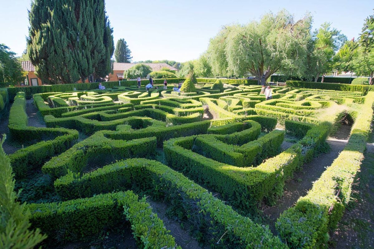 Les mystères des labyrinthes végétaux de Saint-Laurent-Nouan intriguent les visiteurs